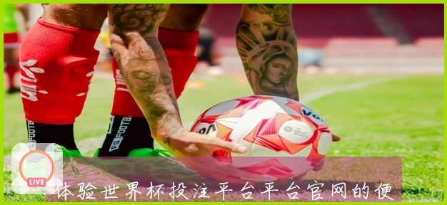 体验世界杯投注平台平台官网的便捷操作与功能介绍，尽享赛事直播乐趣
