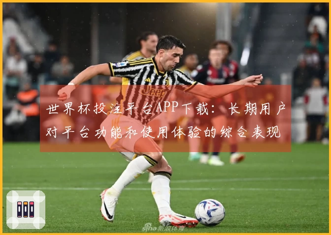 世界杯投注平台APP下载：长期用户对平台功能和使用体验的综合表现分析