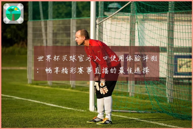 世界杯买球官方入口使用体验评测：畅享精彩赛事直播的最佳选择