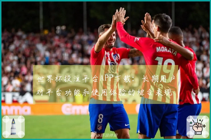 世界杯投注平台APP下载：长期用户对平台功能和使用体验的综合表现分析