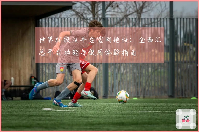世界杯投注平台官网地址：全面汇总平台功能与使用体验指南