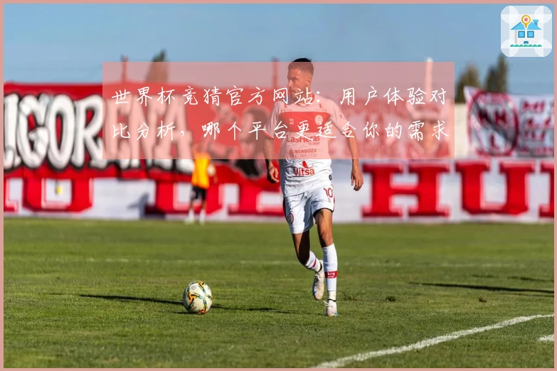世界杯竞猜官方网站：用户体验对比分析，哪个平台更适合你的需求？