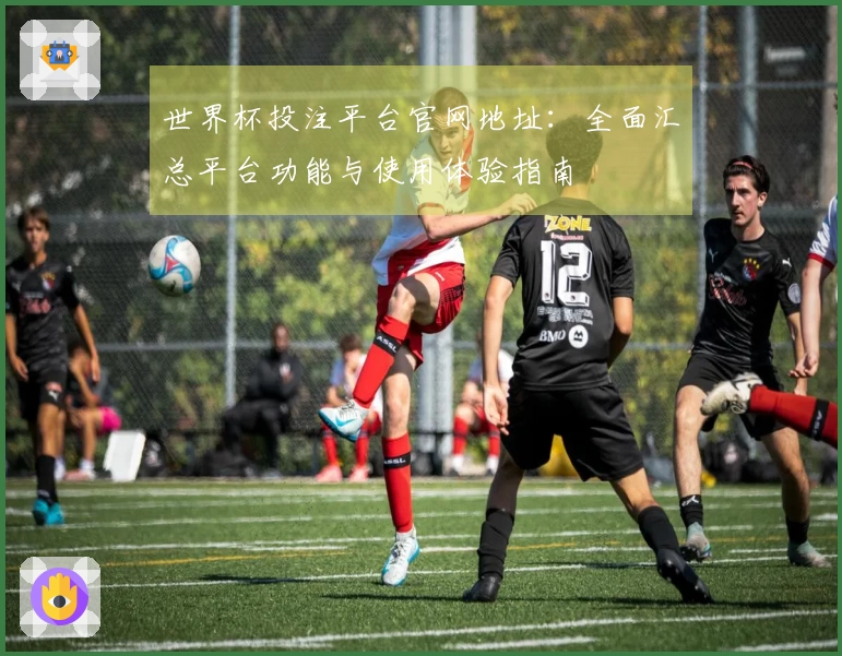 世界杯投注平台官网地址：全面汇总平台功能与使用体验指南