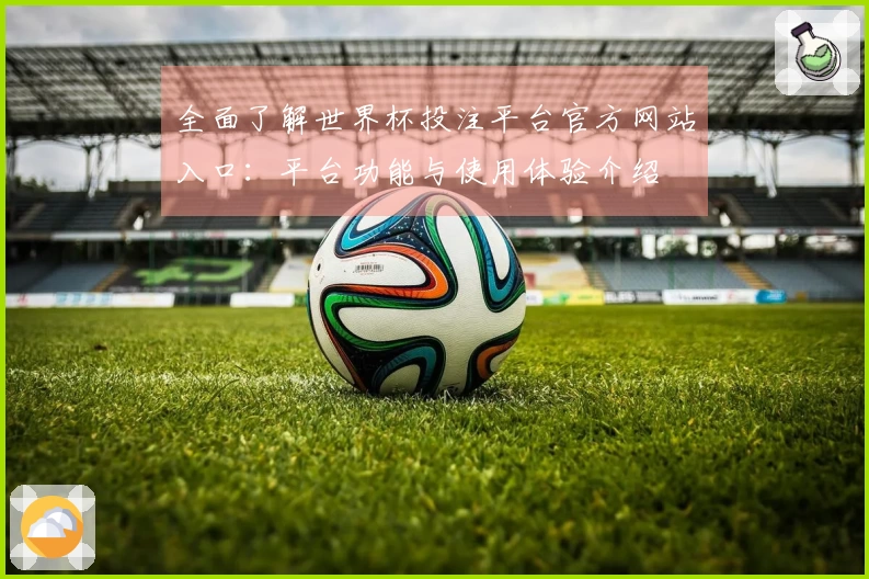 全面了解世界杯投注平台官方网站入口：平台功能与使用体验介绍